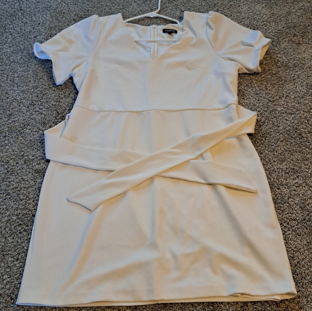 EXPRESS Dress